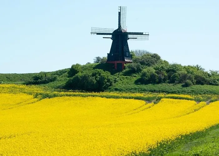 Casa vacanze Feriehytten Honsehuset